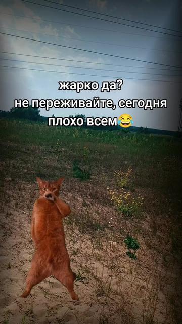 @👁️🪬👼Legenda 👼🪬👁️