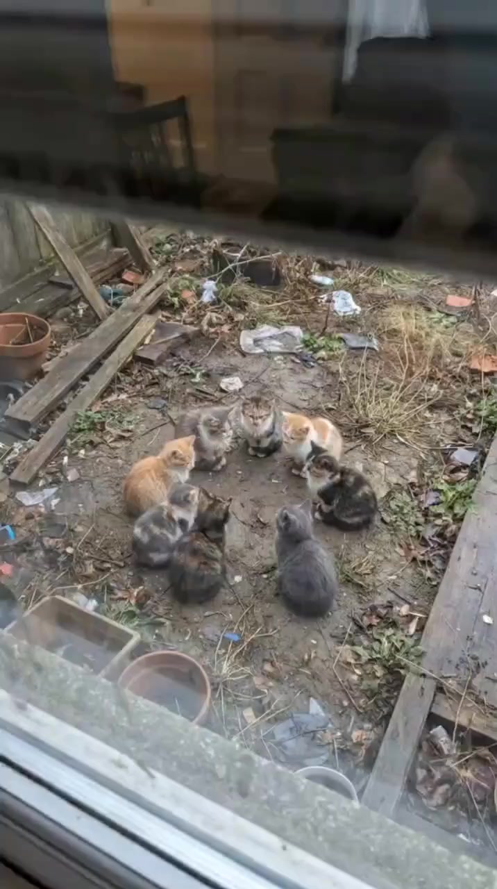 @АНАСТАСИЯ