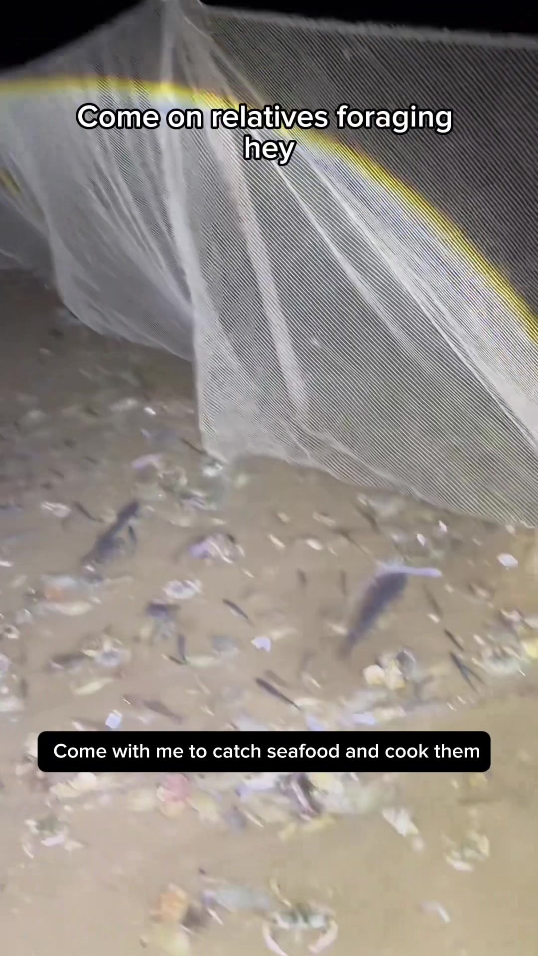 @Catch fish by hand