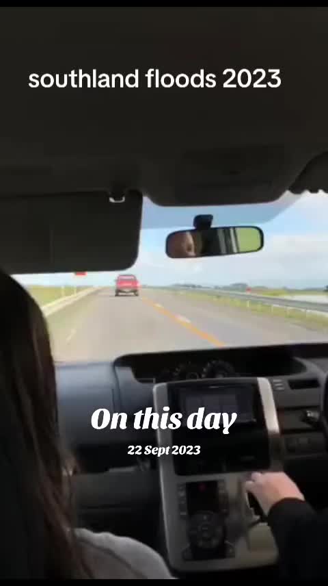 @shellyteddybear1