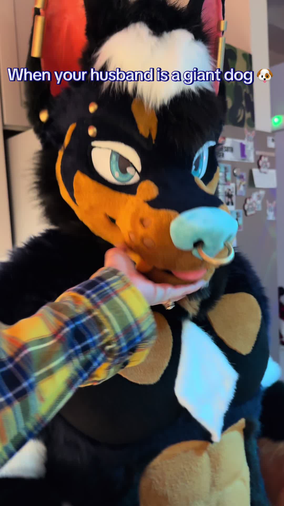 @PhoenixAWOO