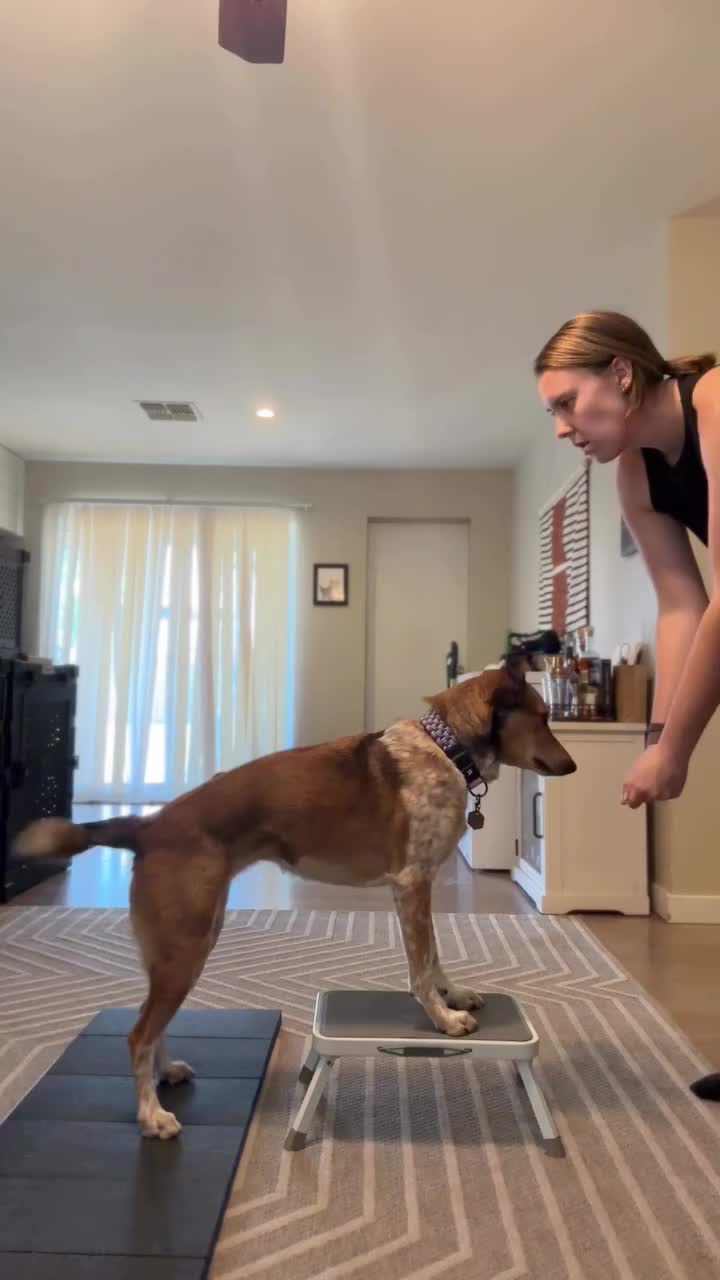 @Marissa | Kota & Aspen