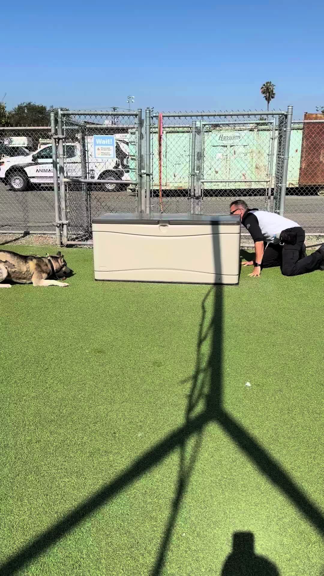 @Ventura County Animal Services