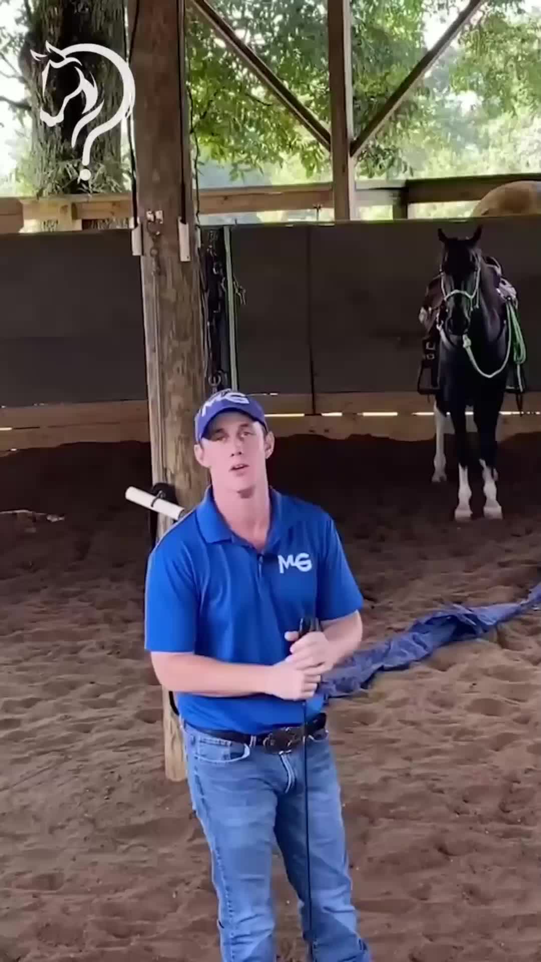 @Horse Help