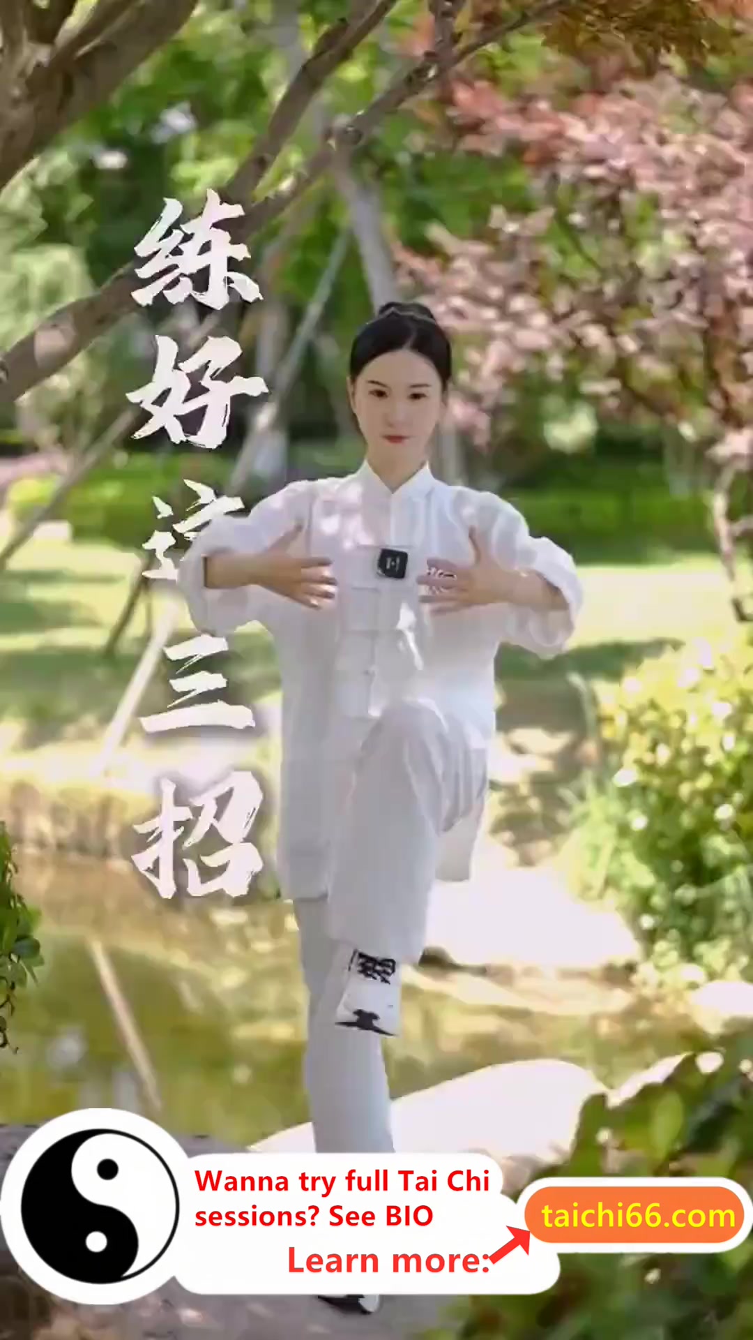 @HuaKai Taichi
