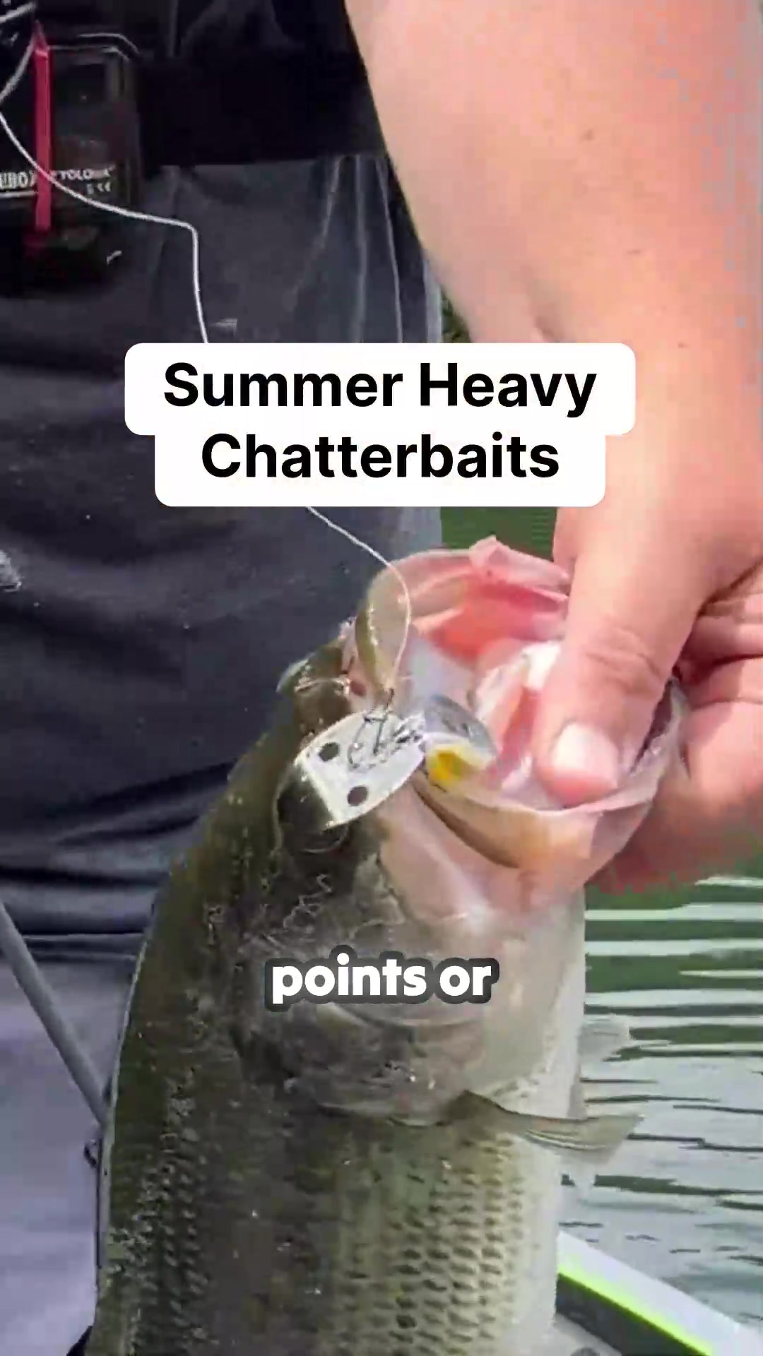 @bassgeek
