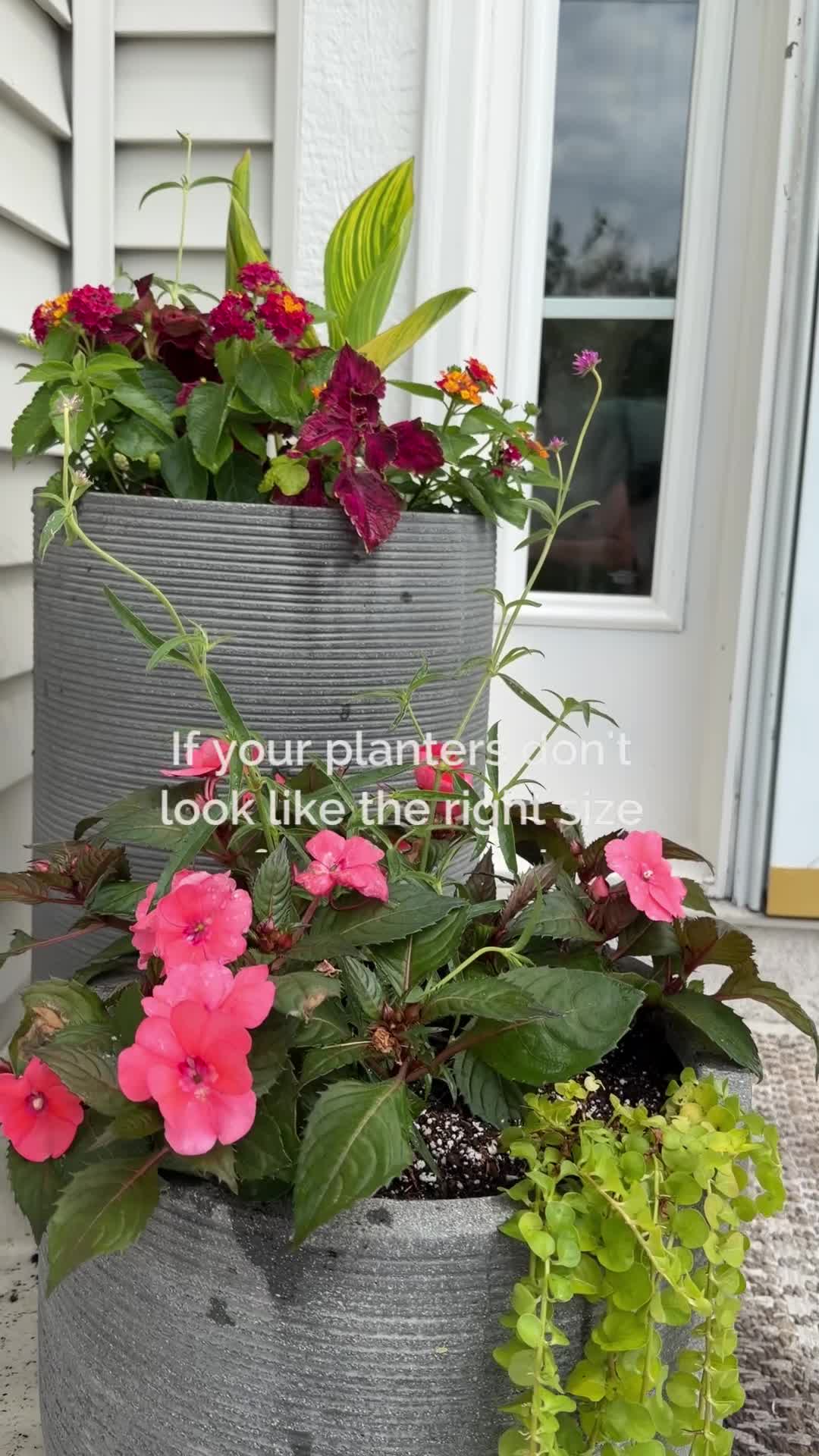 @Landscape_by_Lauren 🌱
