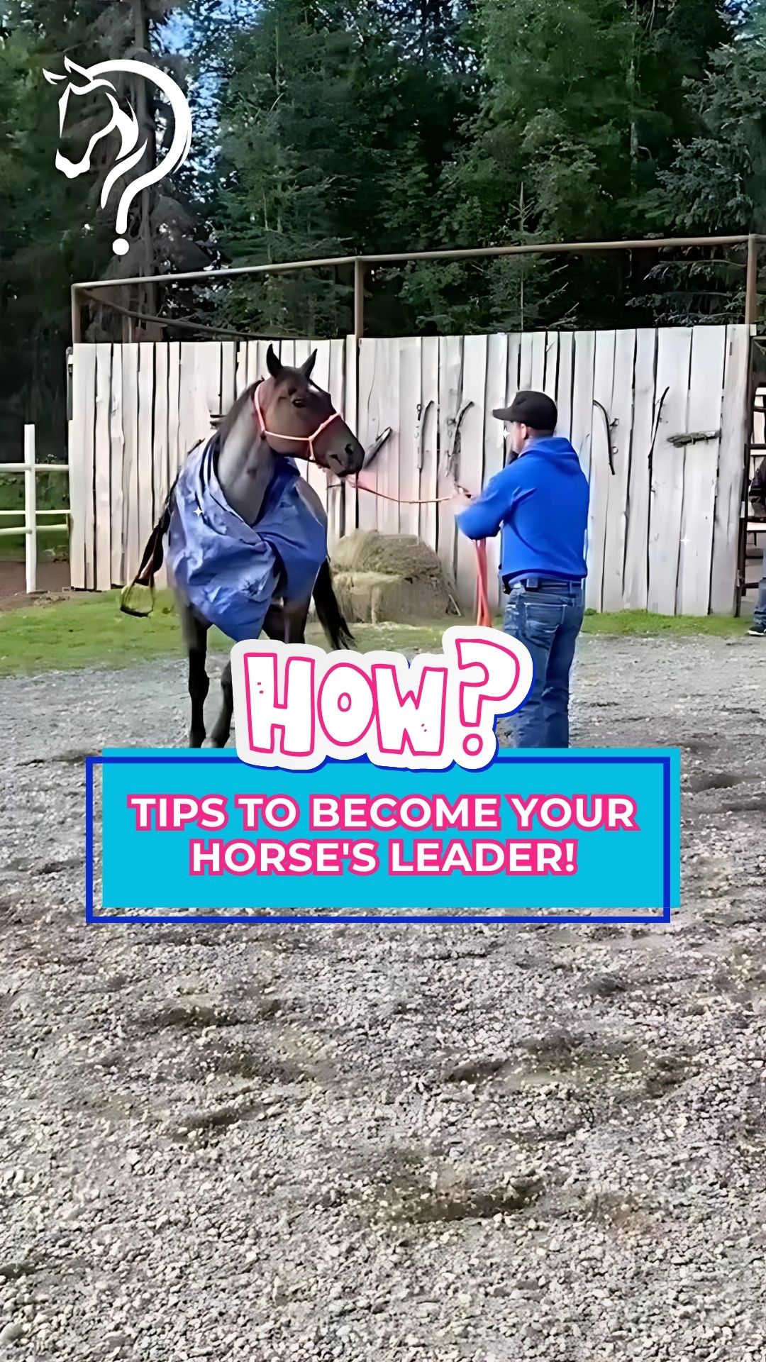 @Horse Help