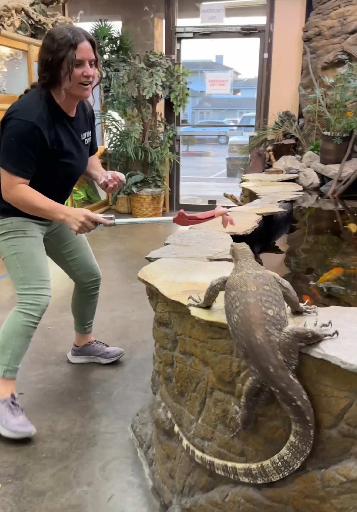 @The Reptile Zoo