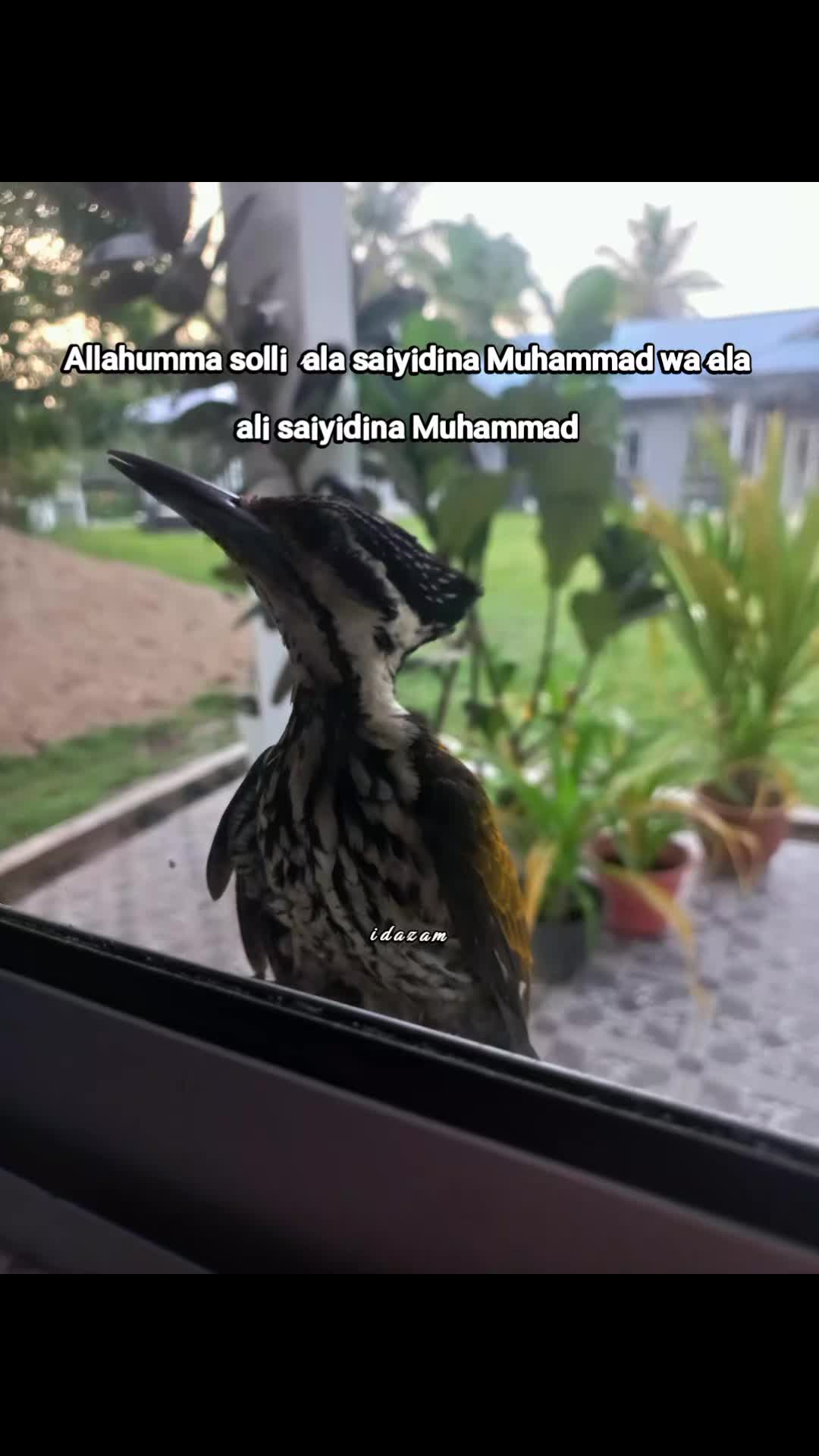 @aidaida1508