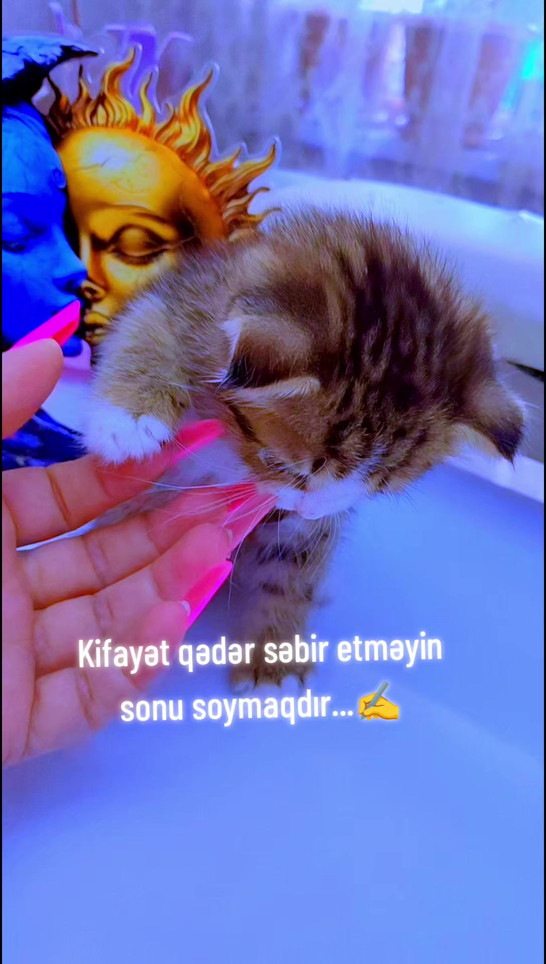 @dejav&uuml;🌙☀️