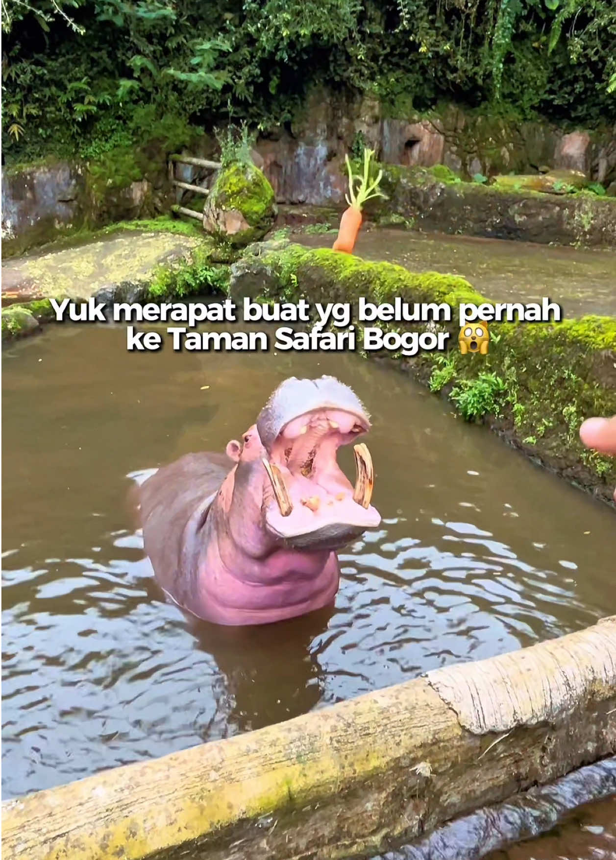 @hildaayp