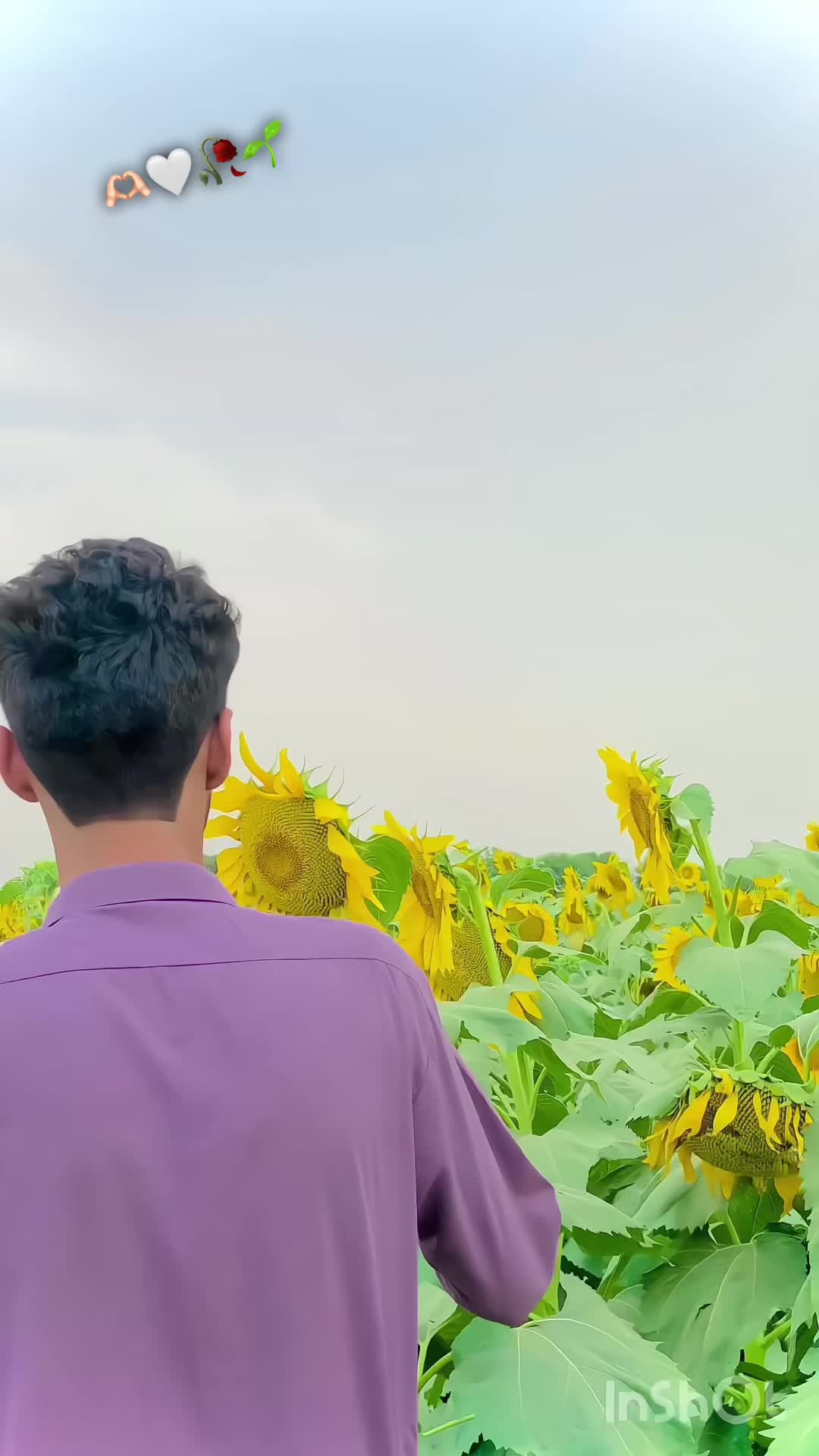 @رضوان