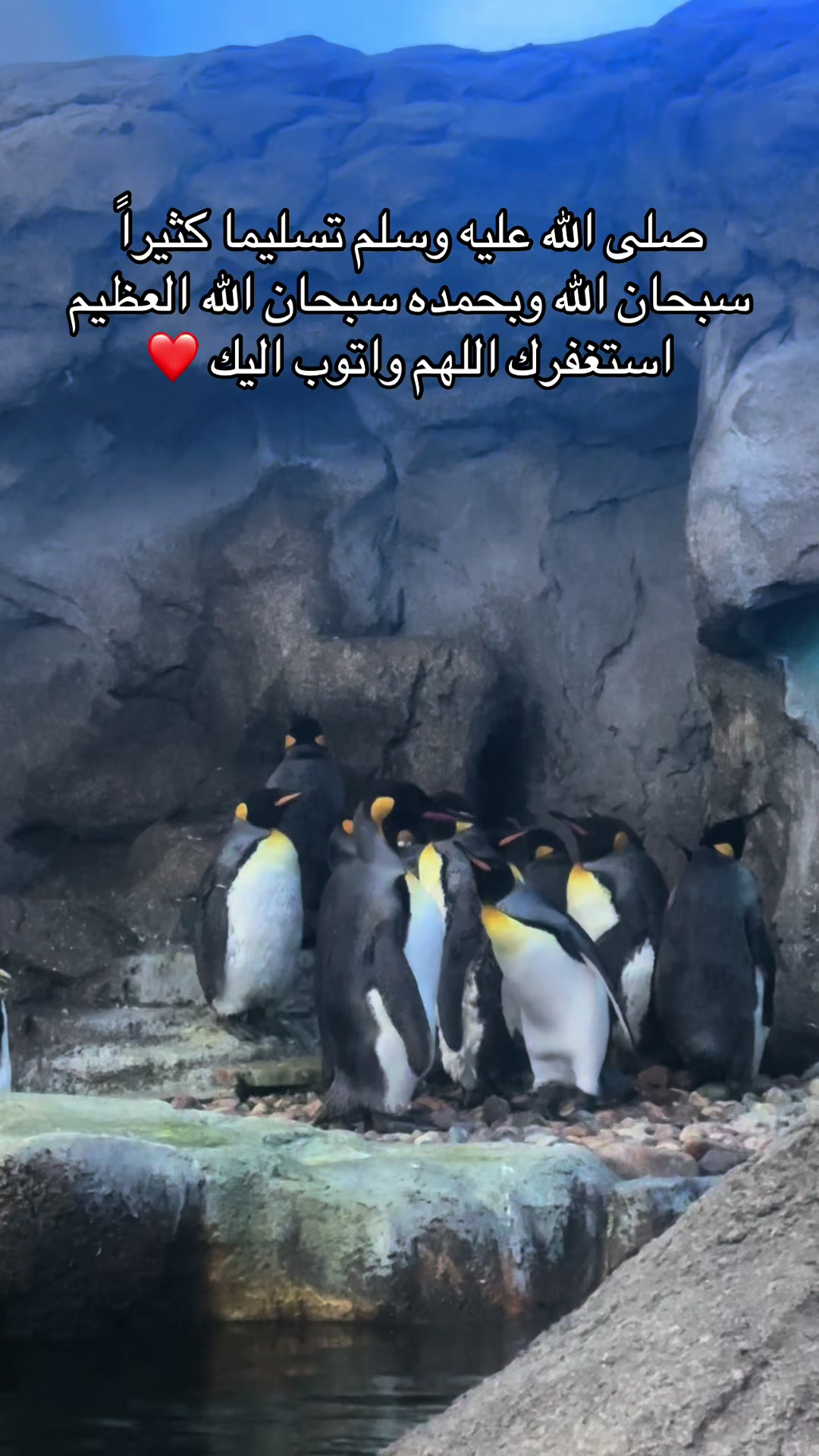 @sedral47