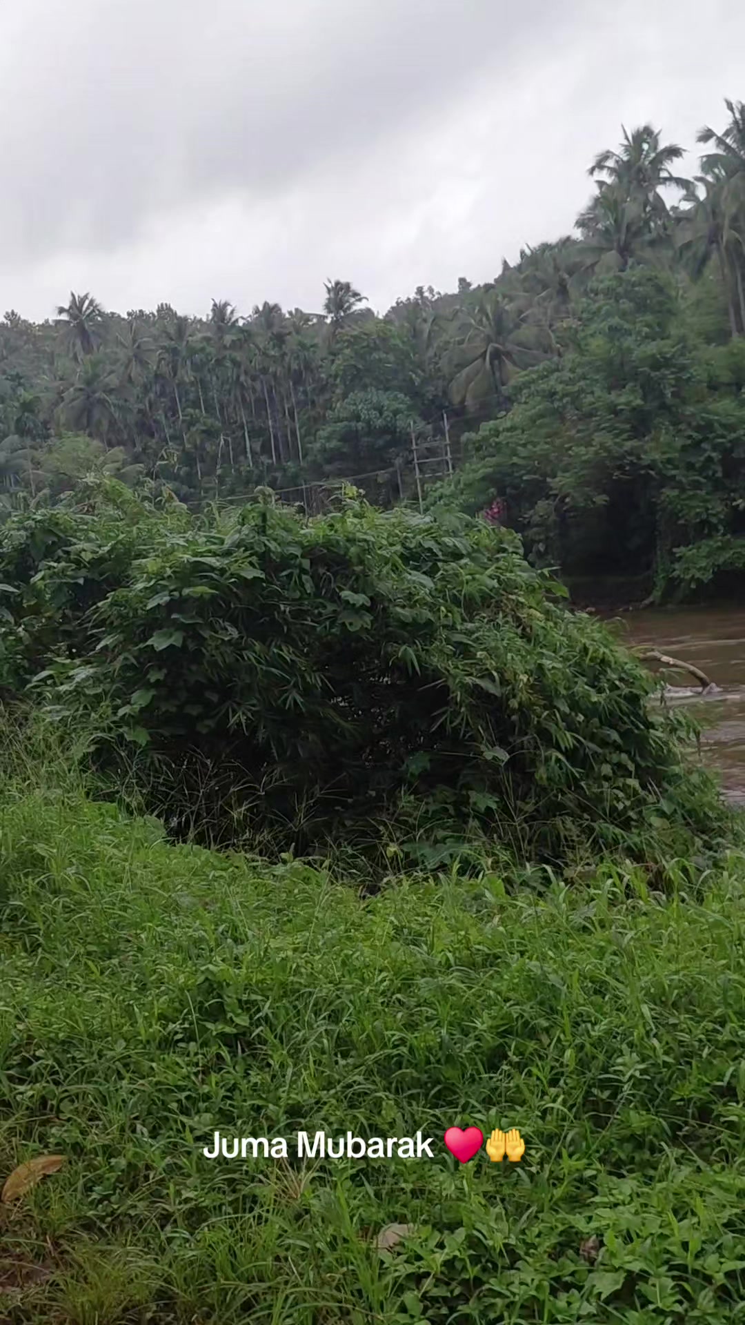 @♥️🤍🕊️ഫാത്തി🕊️🤍♥️