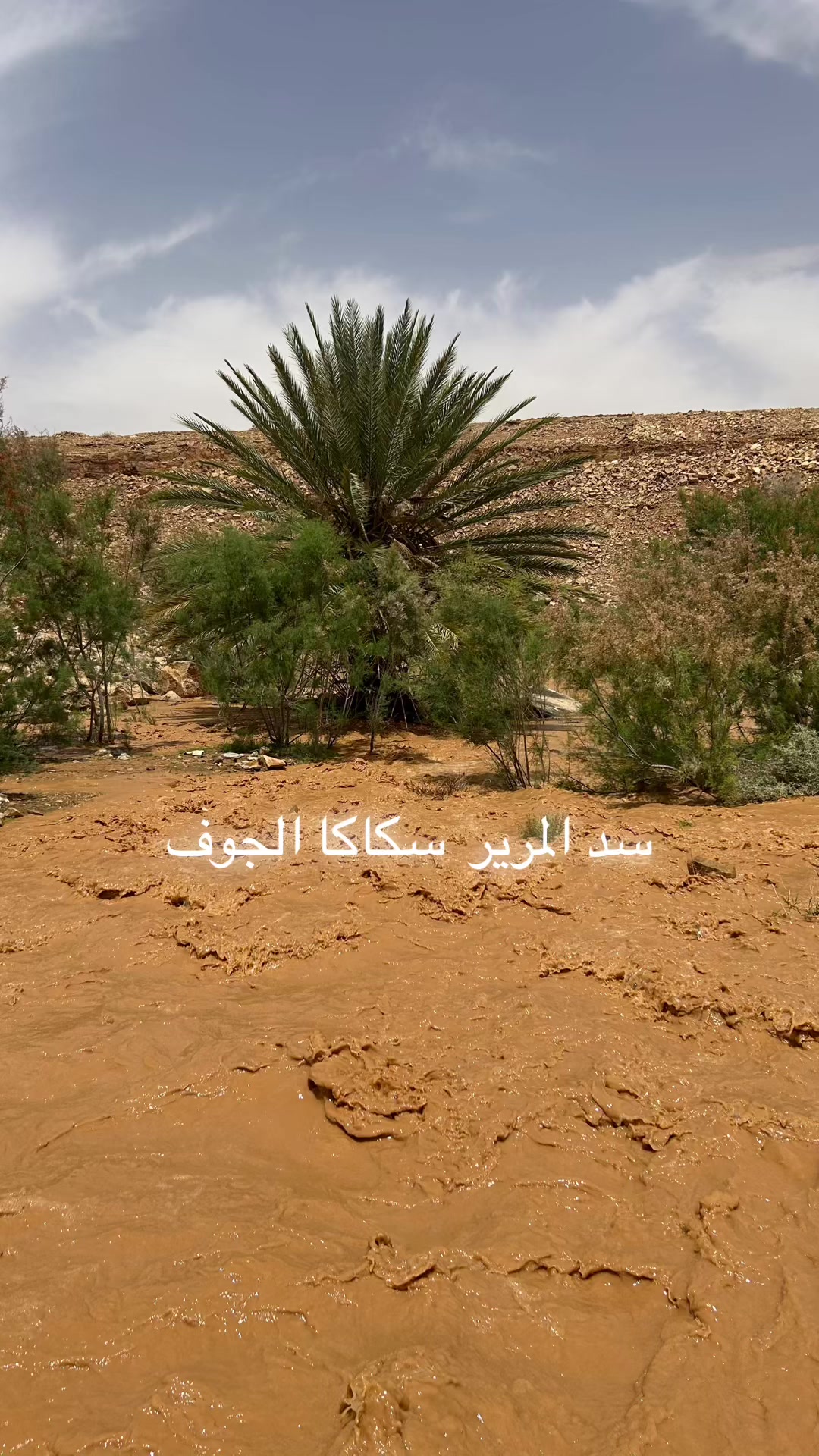 @🌹بنت عتيبة الروقي🌹