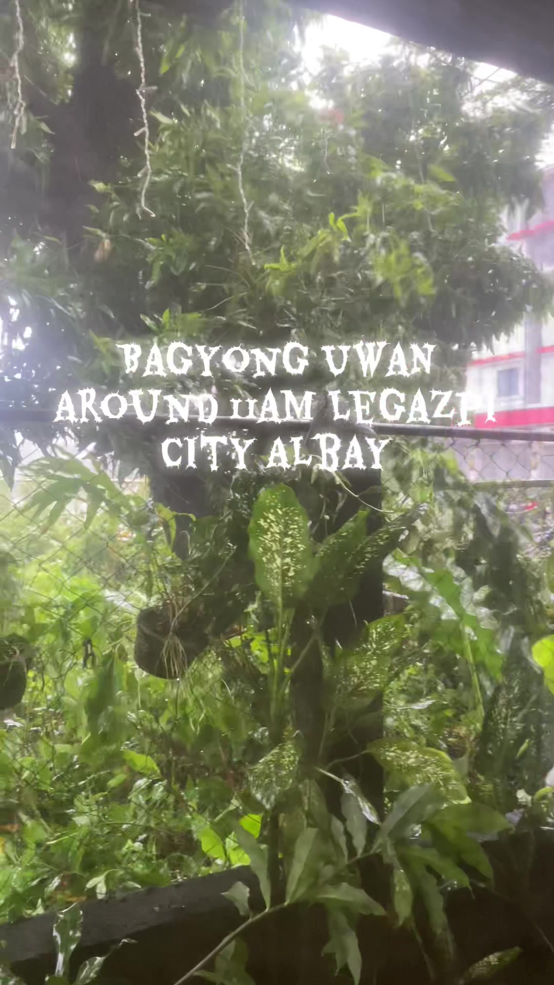@Engr. Uragon