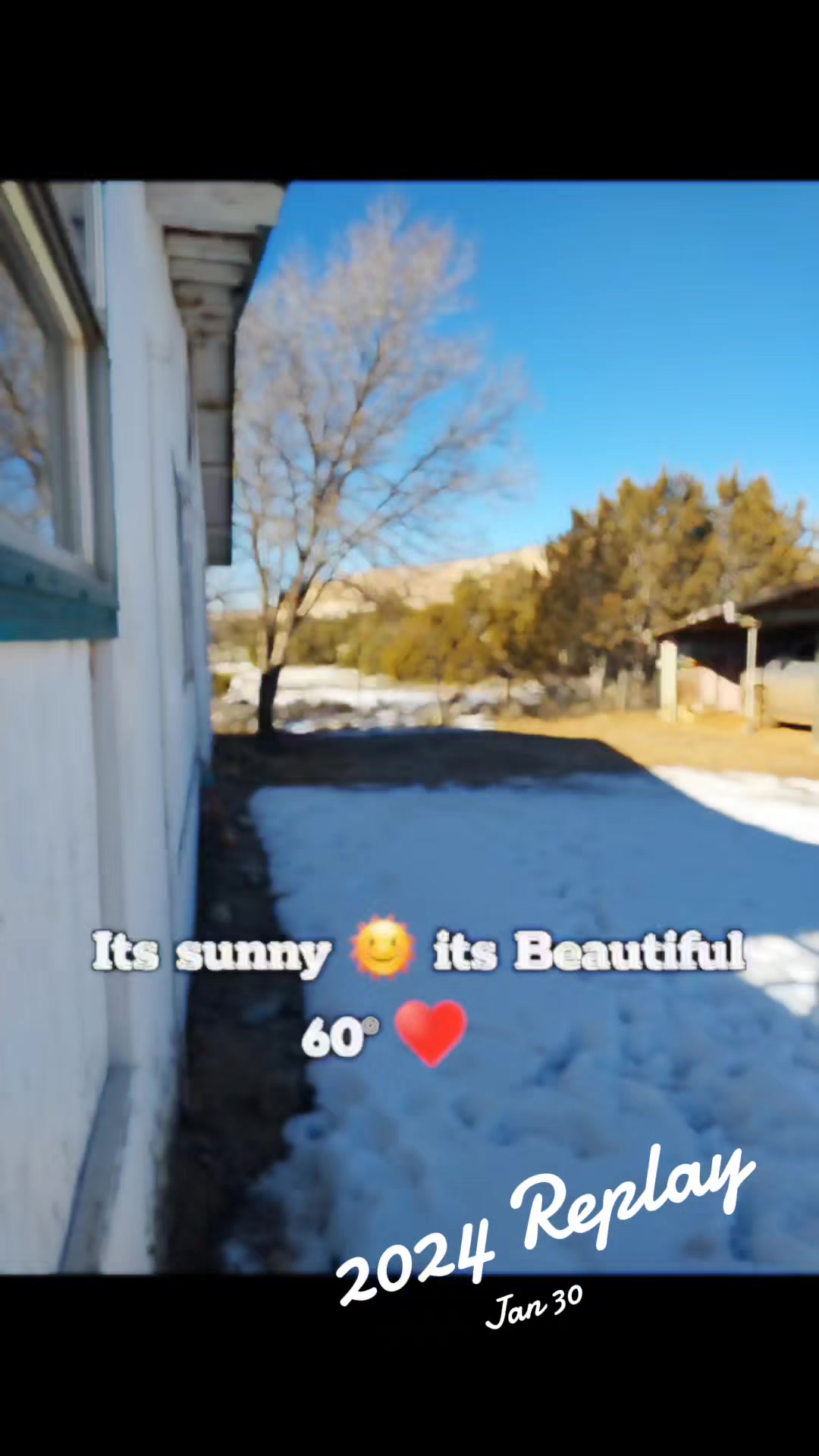 @🦋 ~ Butterfly 23~ 🦋