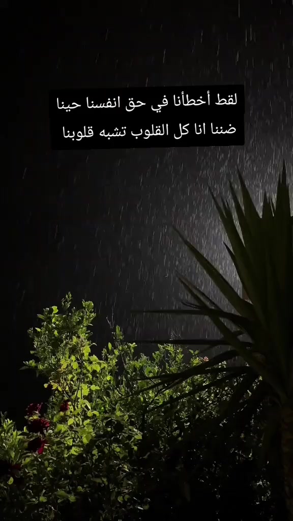 @chinwi____dz🇩🇿🇧🇷