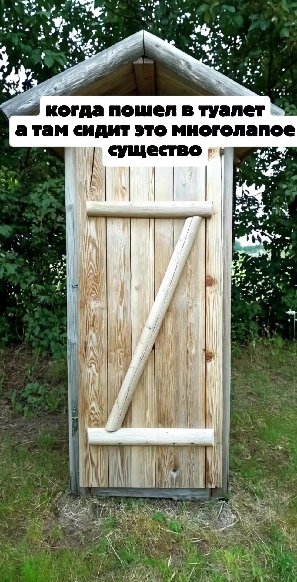 @манга настаящий✅