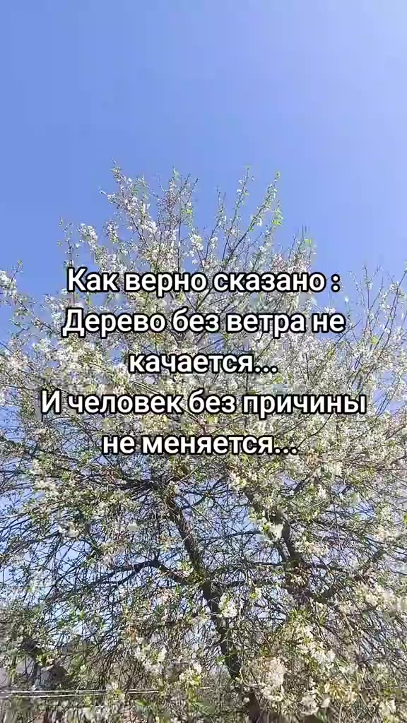 @Ирина