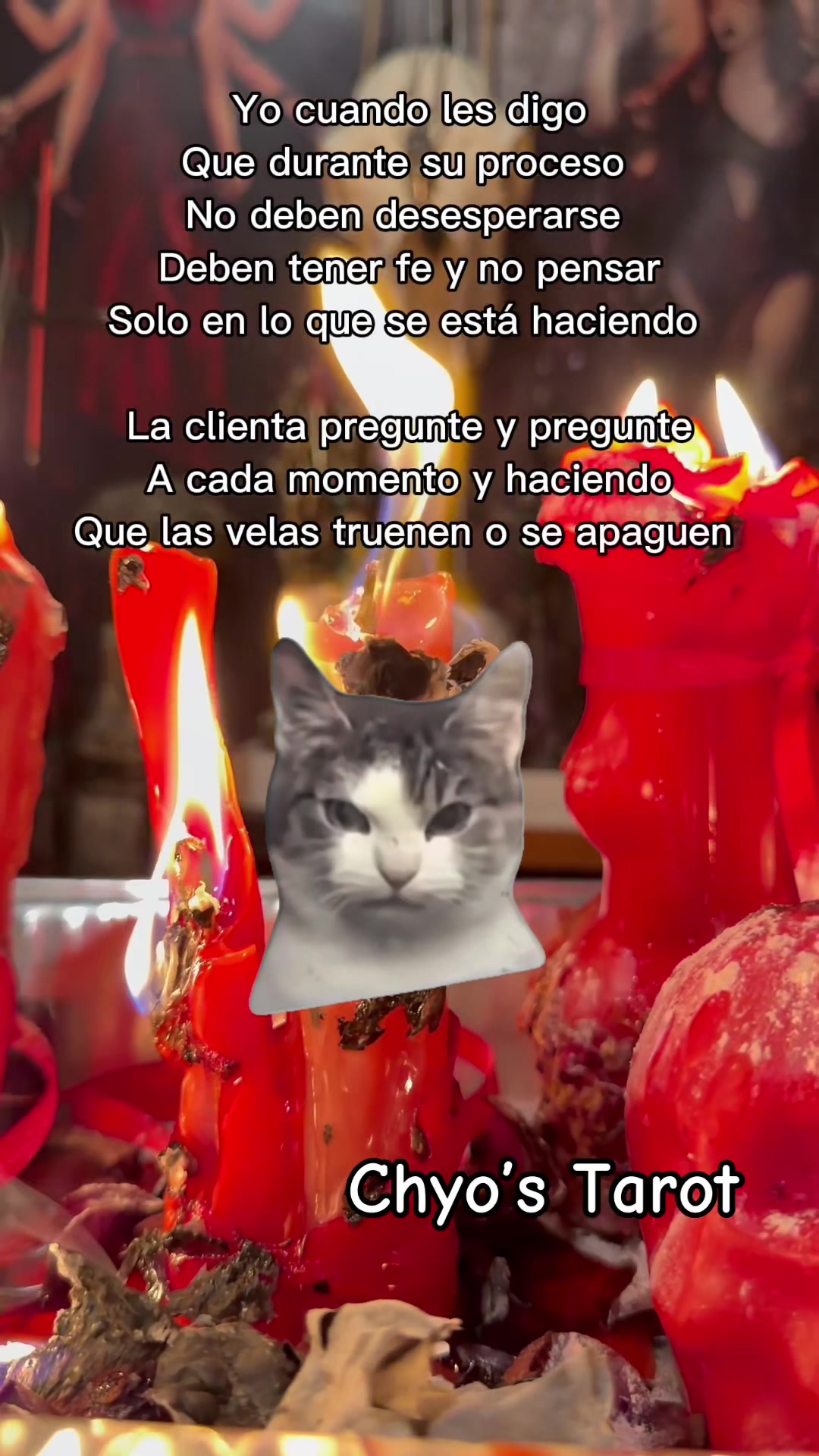 @chyos_tarot