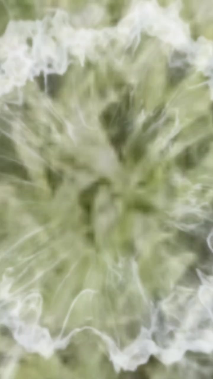 @🤍𝓟. 𝓟𝓻𝓭𝓪.. 🤍