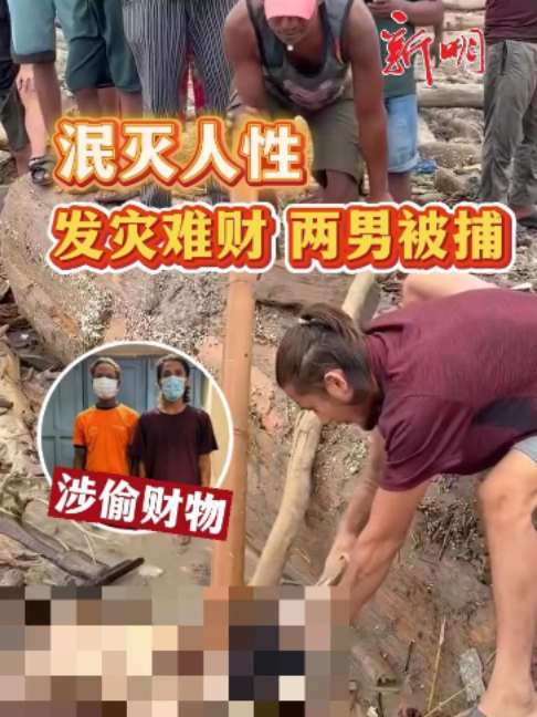 @新明日报