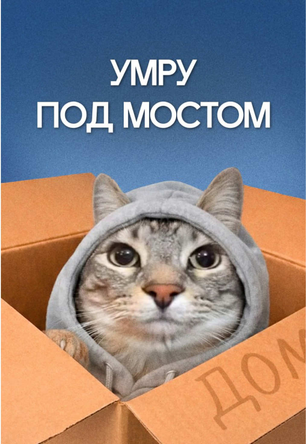 @Интроверт