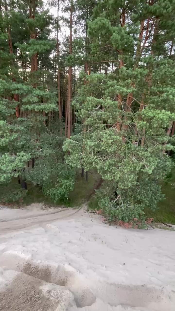 @Kews 77rus