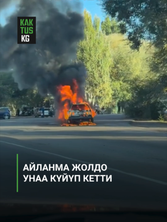 @Kaktus KG