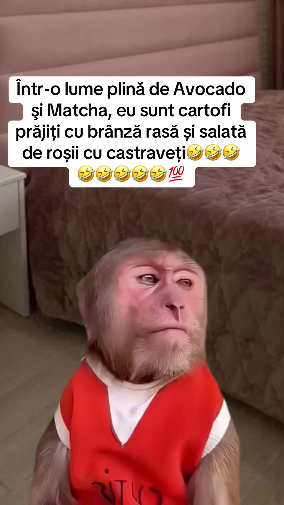 @*๐ข๐ช๐ซ๐ป๐๐ค๐ฒ๐ฉ