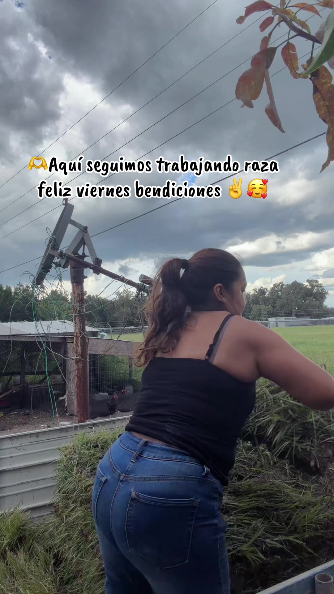@❤️Irma Pérez 🥀