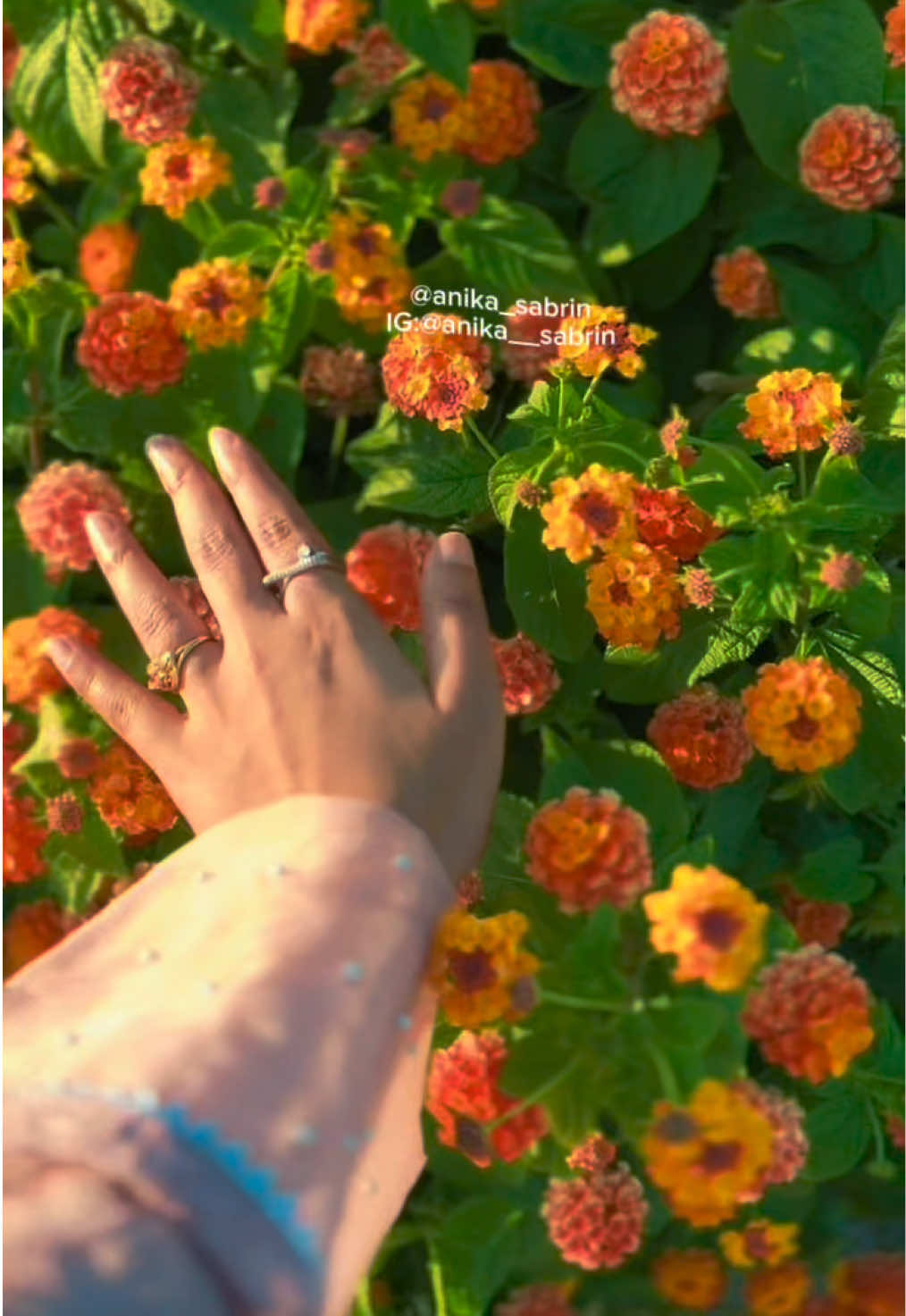 @ᴀⁿⁱᵏᵃ sᵃᵇʳⁱⁿ•••🤟