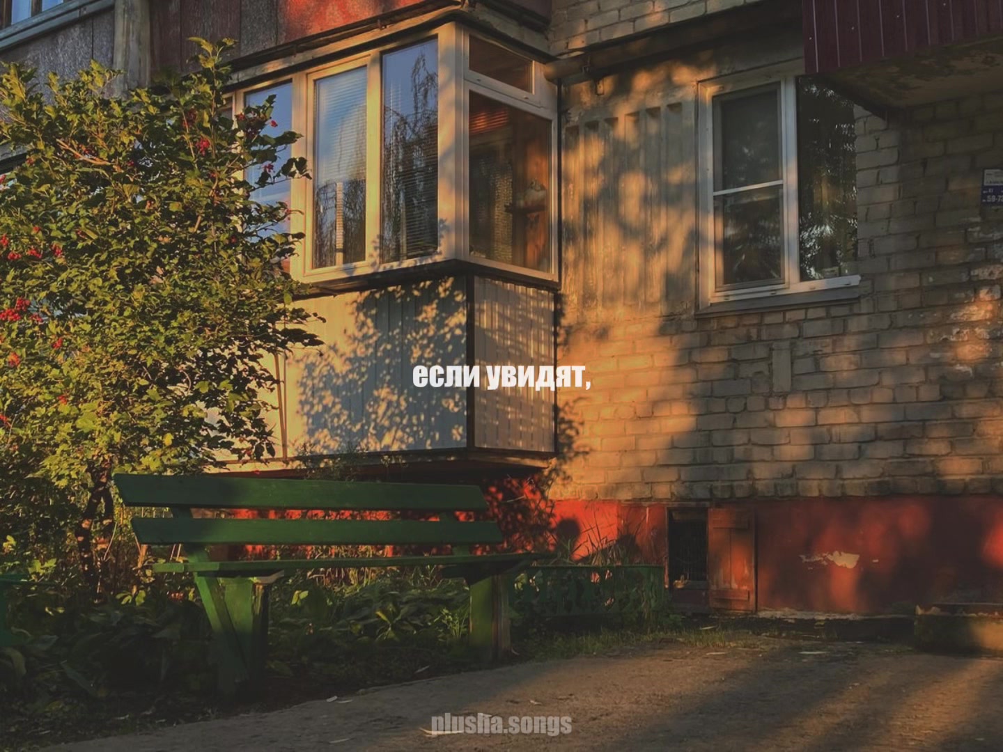 @тгк: songs || plusha