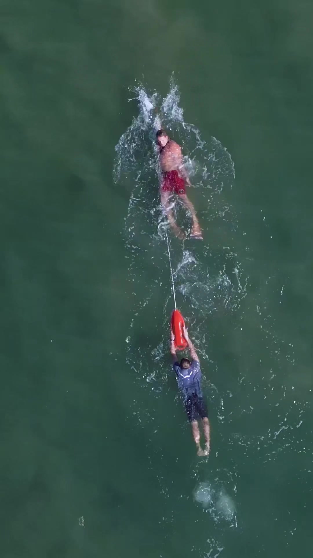 @lacolifeguards
