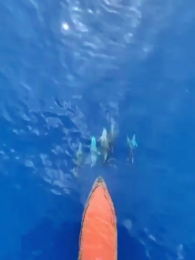 @𝐍𝐨𝐫𝐭𝐡 𝐒𝐞𝐚