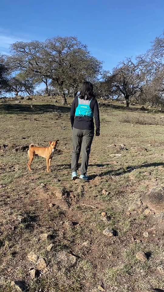 @Rompe el Muro