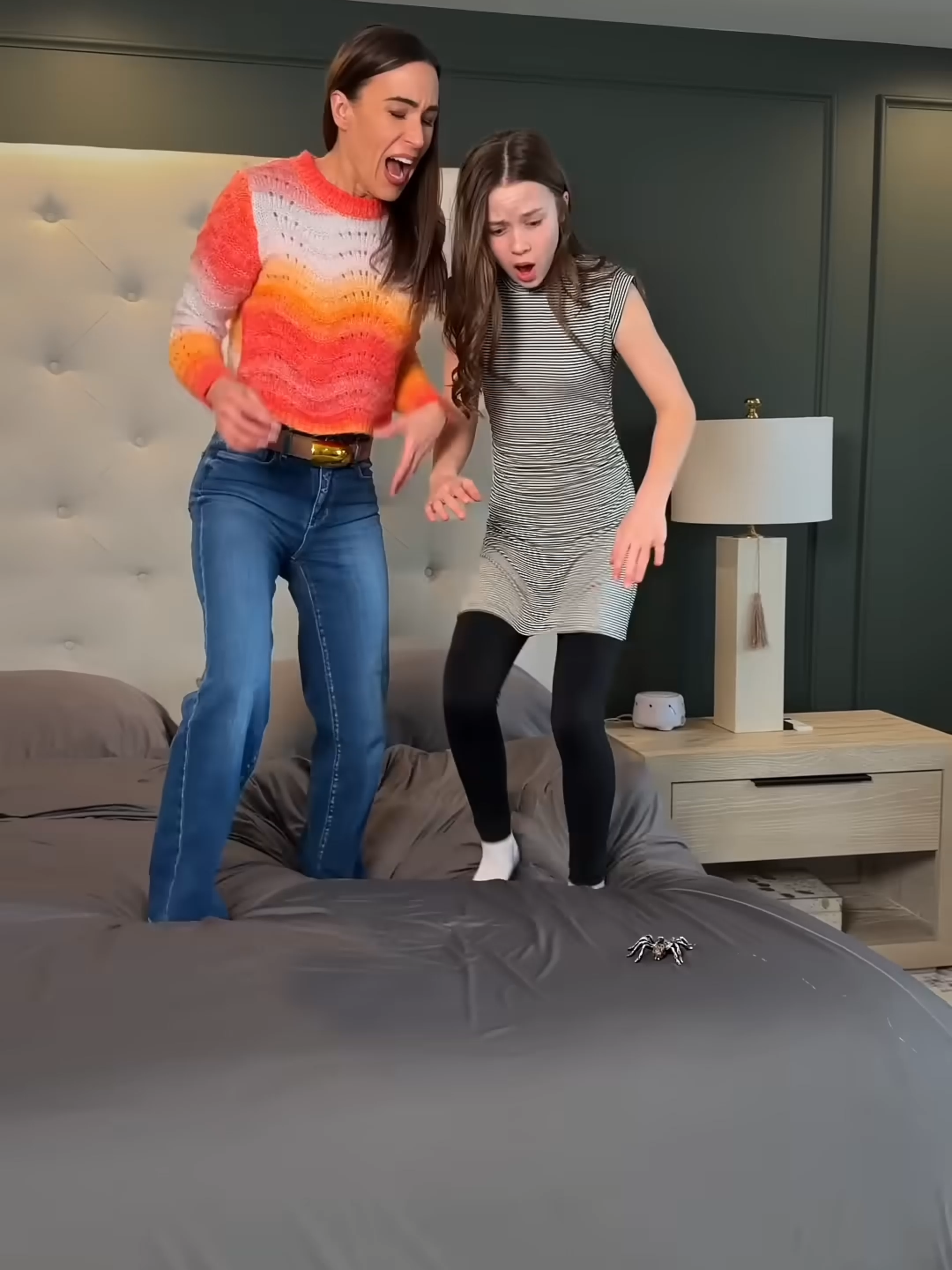 @familycattyny