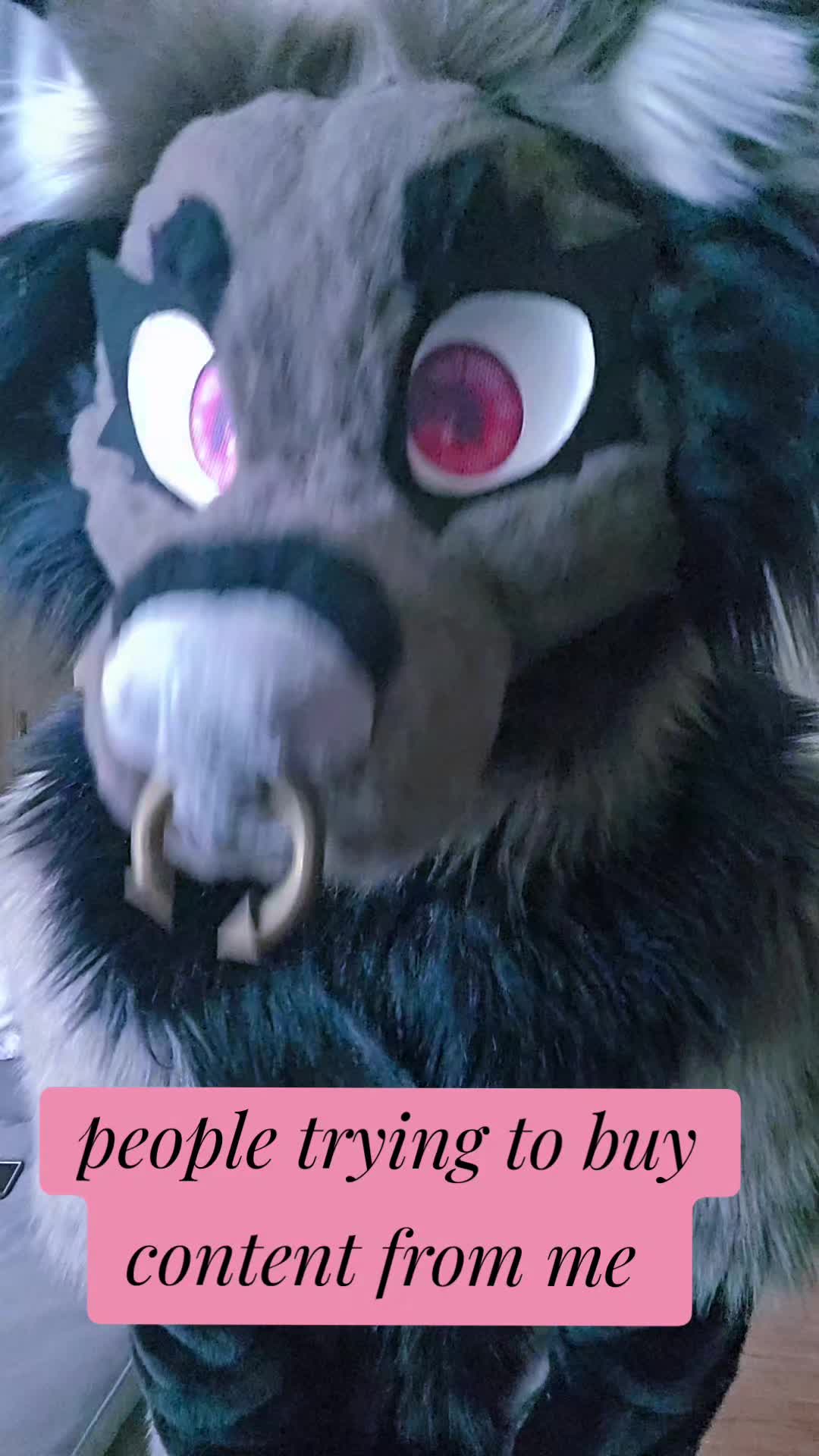 @fidget_batty🦇