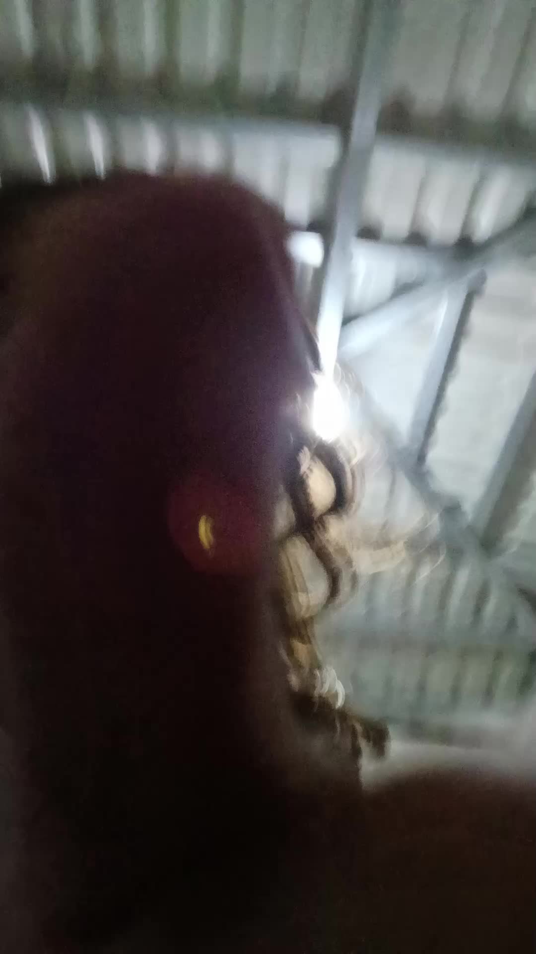 @Ana Maria Guillen Deras