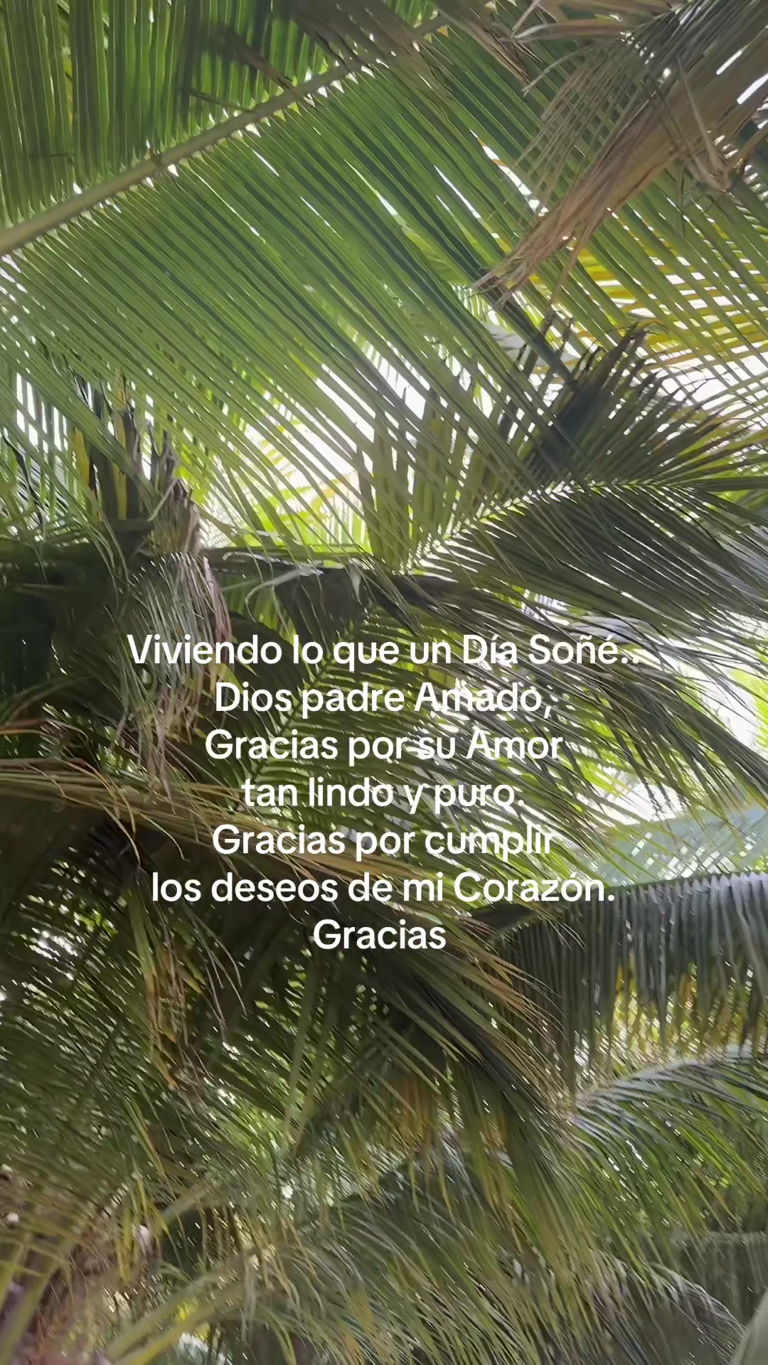@Un Amor Tan Real