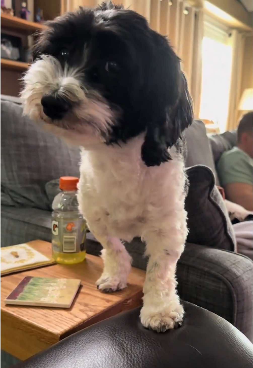 @marge_mallow