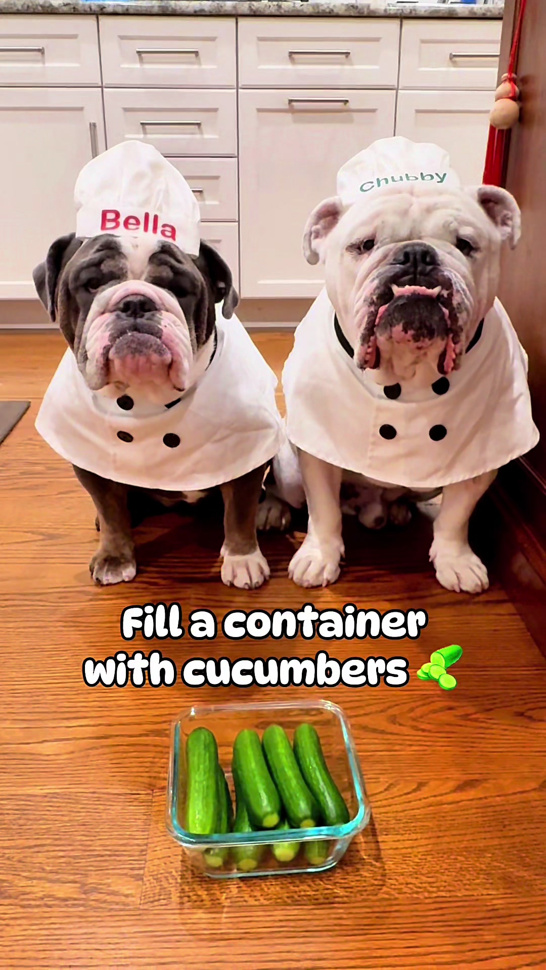@ChubbynBella