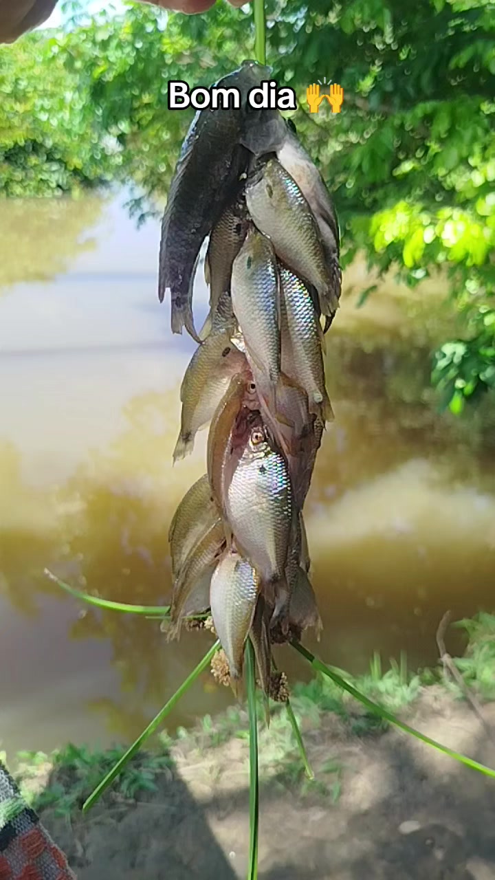 @Jailson do Refúgio🌳🐟