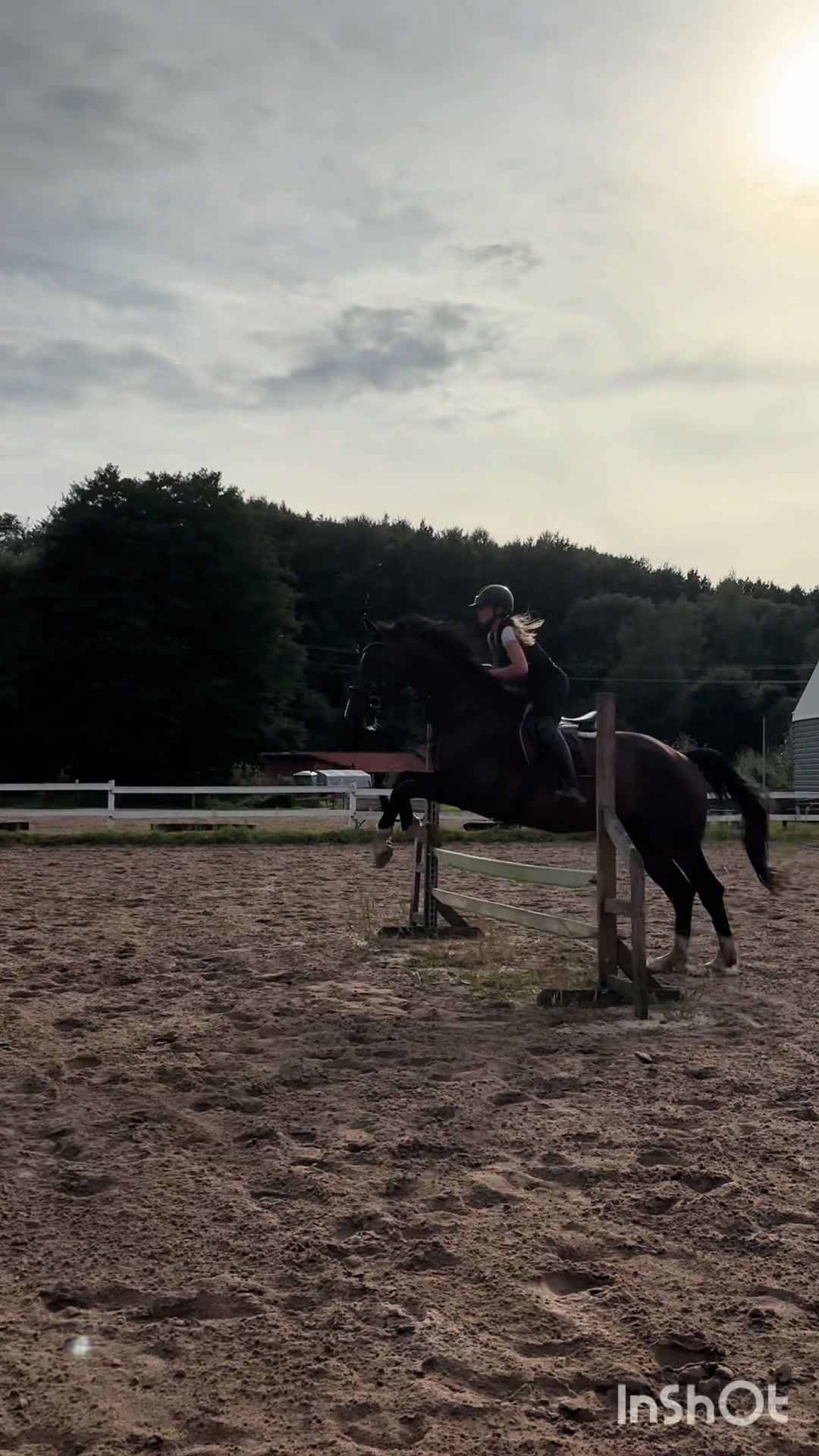 @💋🐴
