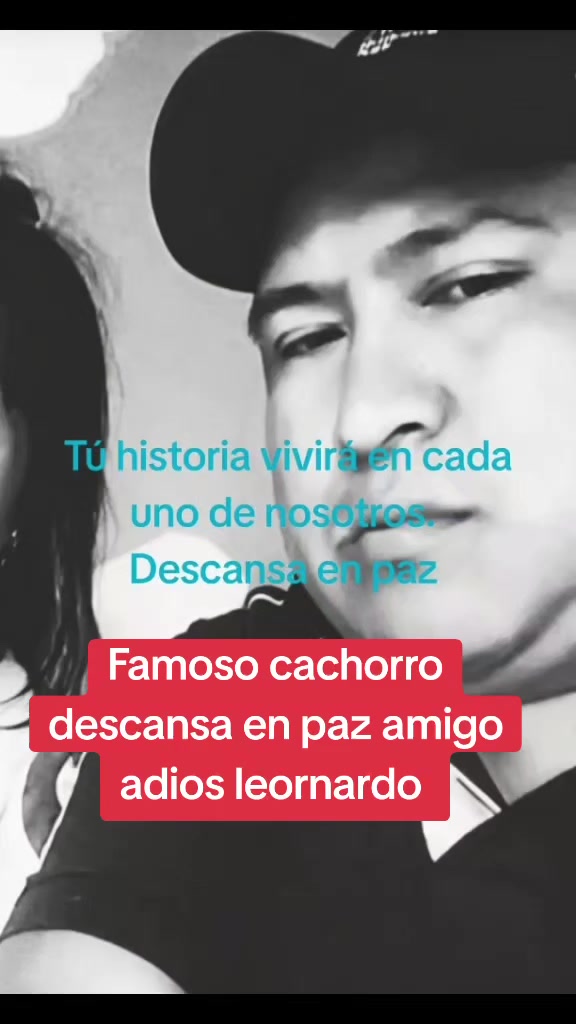 @mechiito
