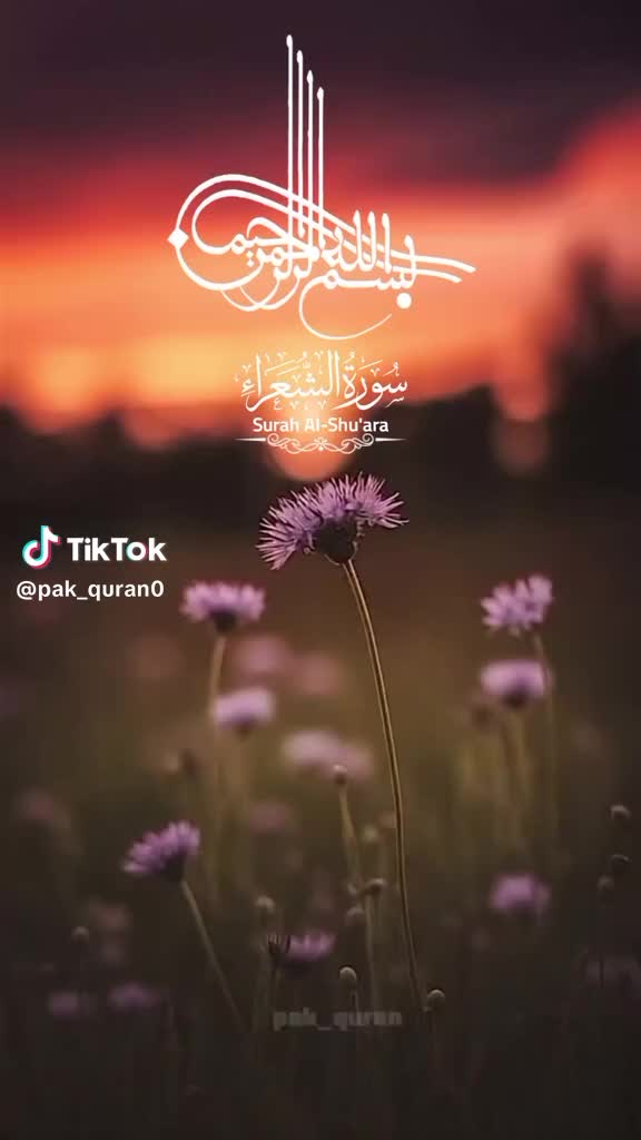 @Raja Jamil