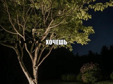 @SonicVibe/Music