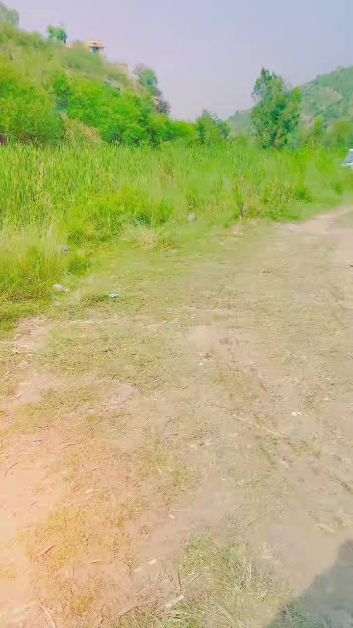 @BaGhii🥷☝️🚫